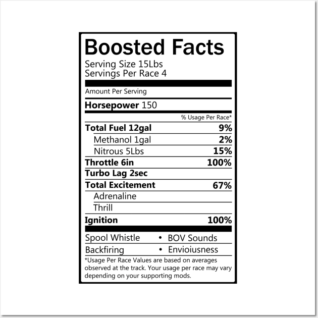 Boosted Facts Wall Art by hoddynoddy